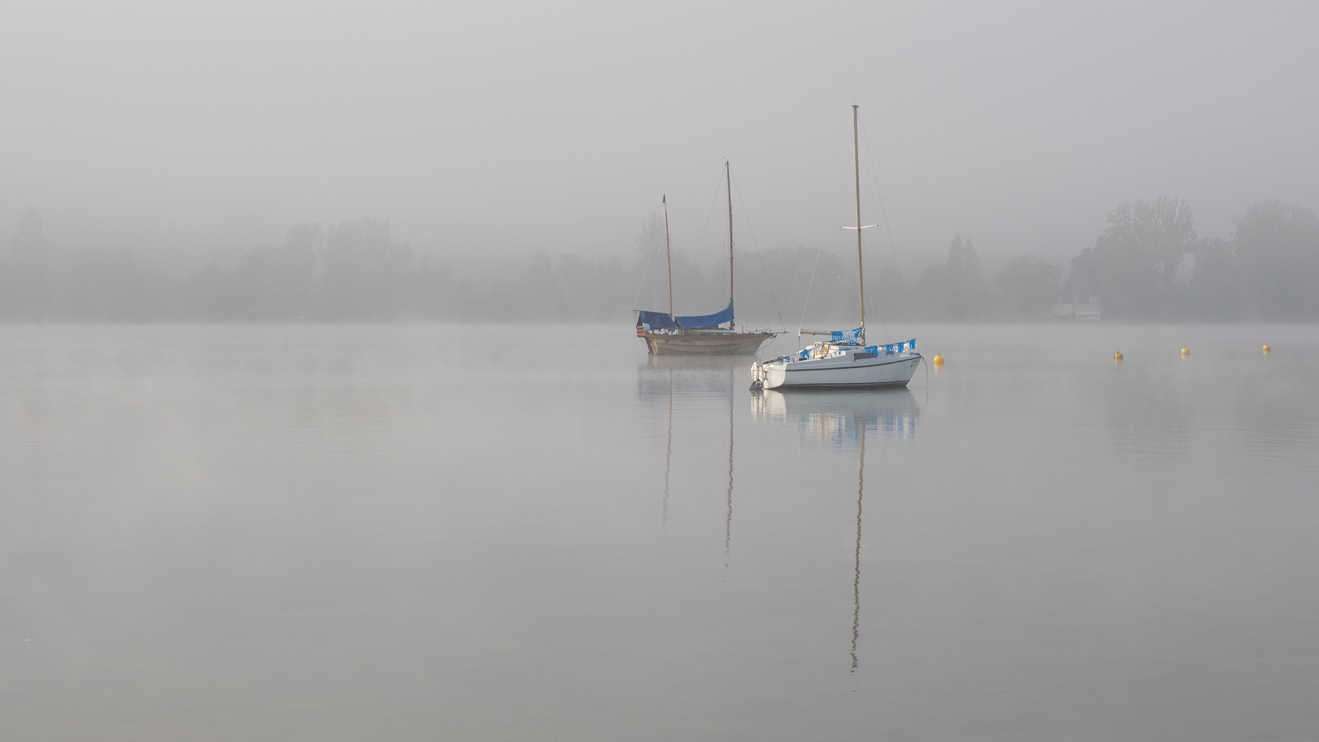 Herbstmorgen