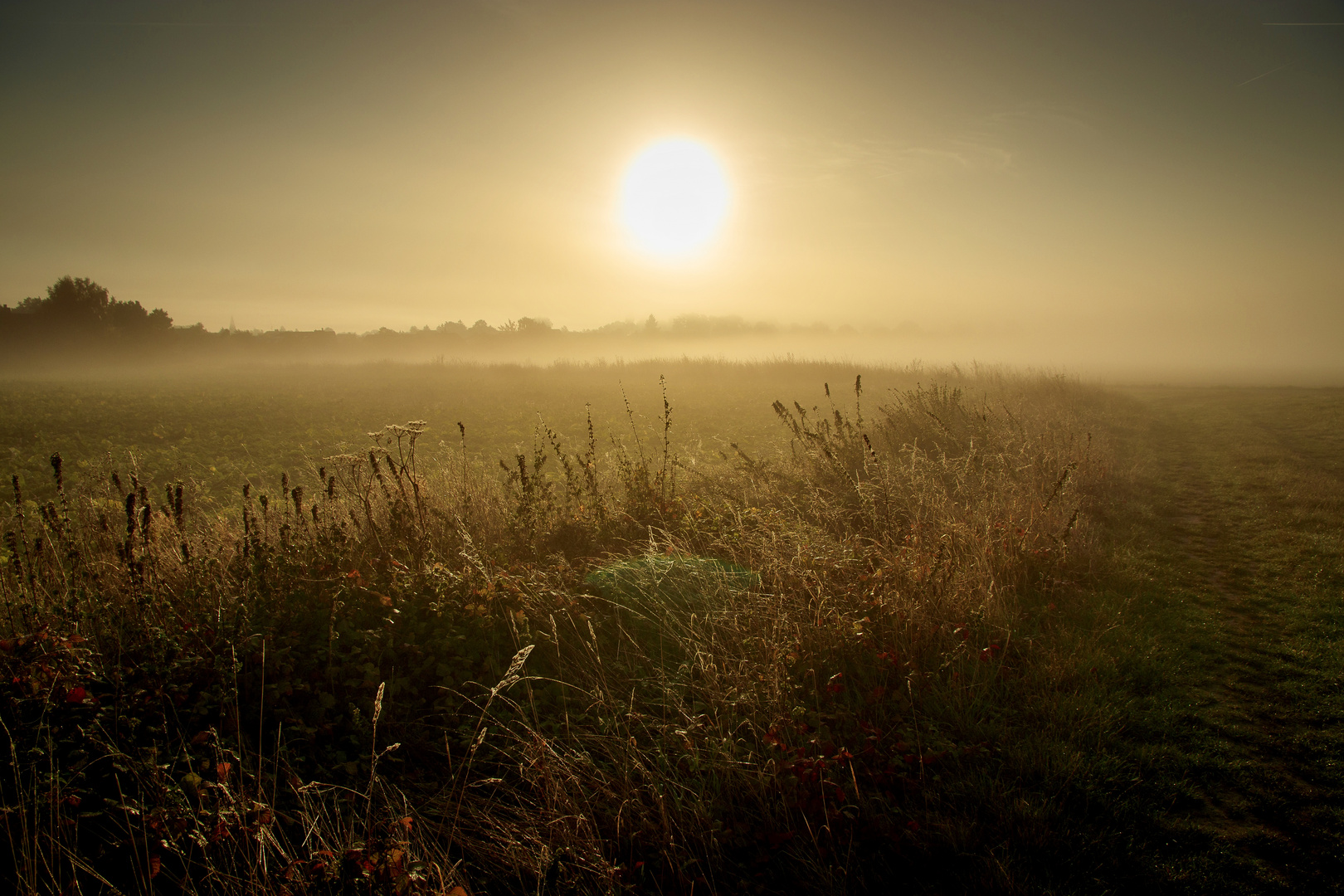 Herbstmorgen