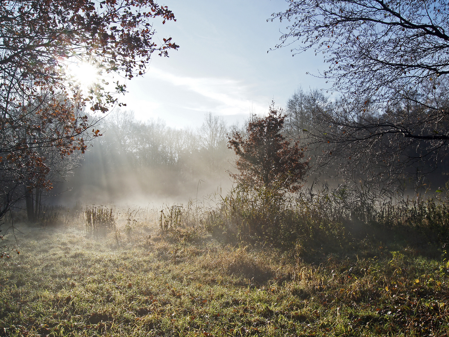 Herbstmorgen