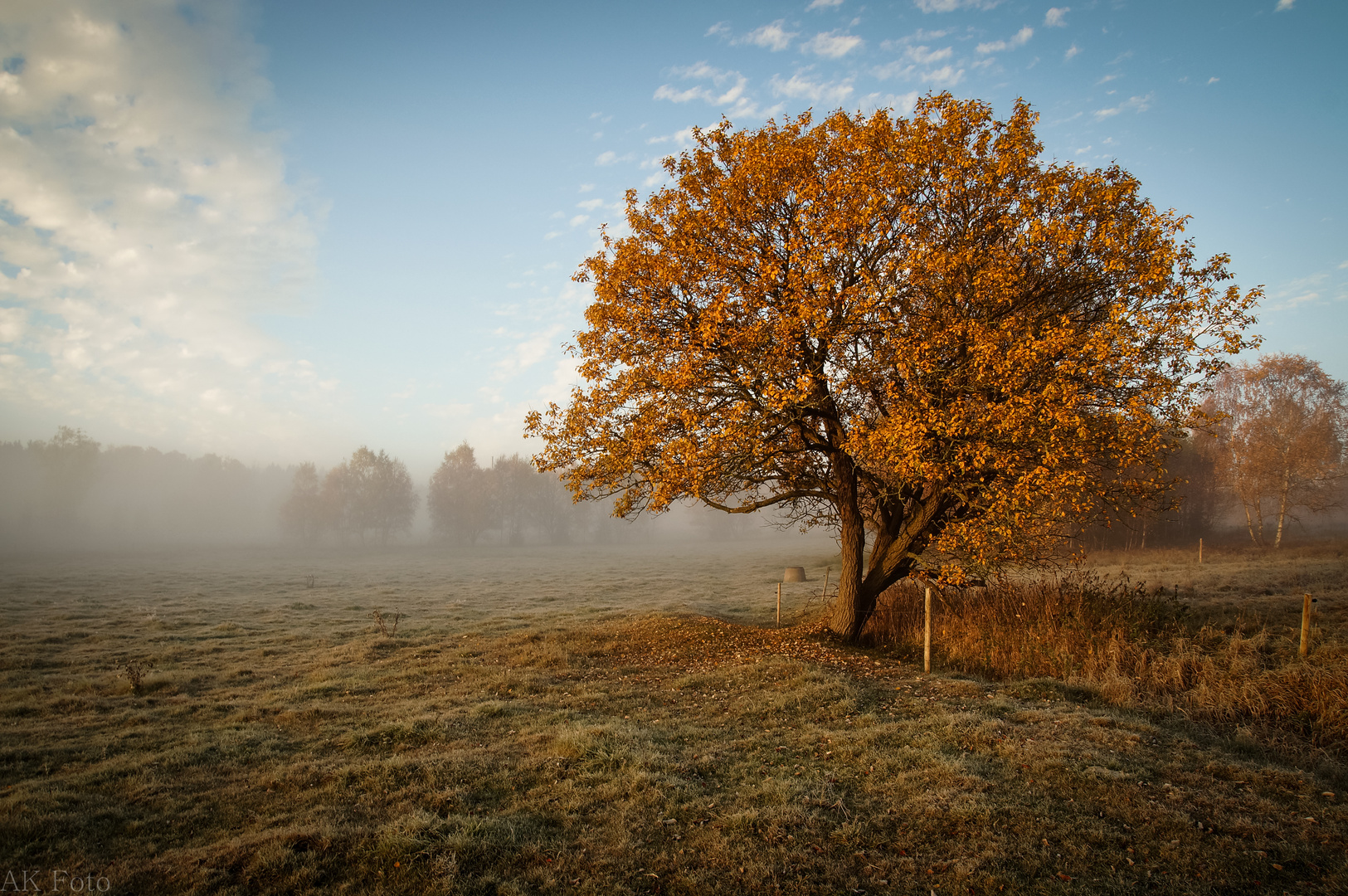 Herbstmorgen