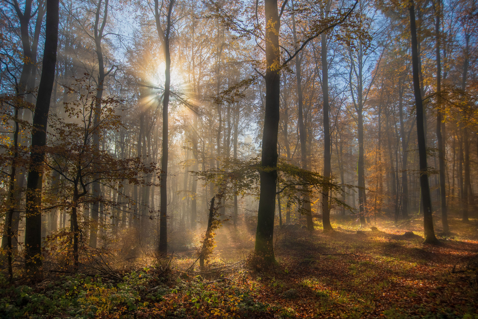 Herbstmorgen