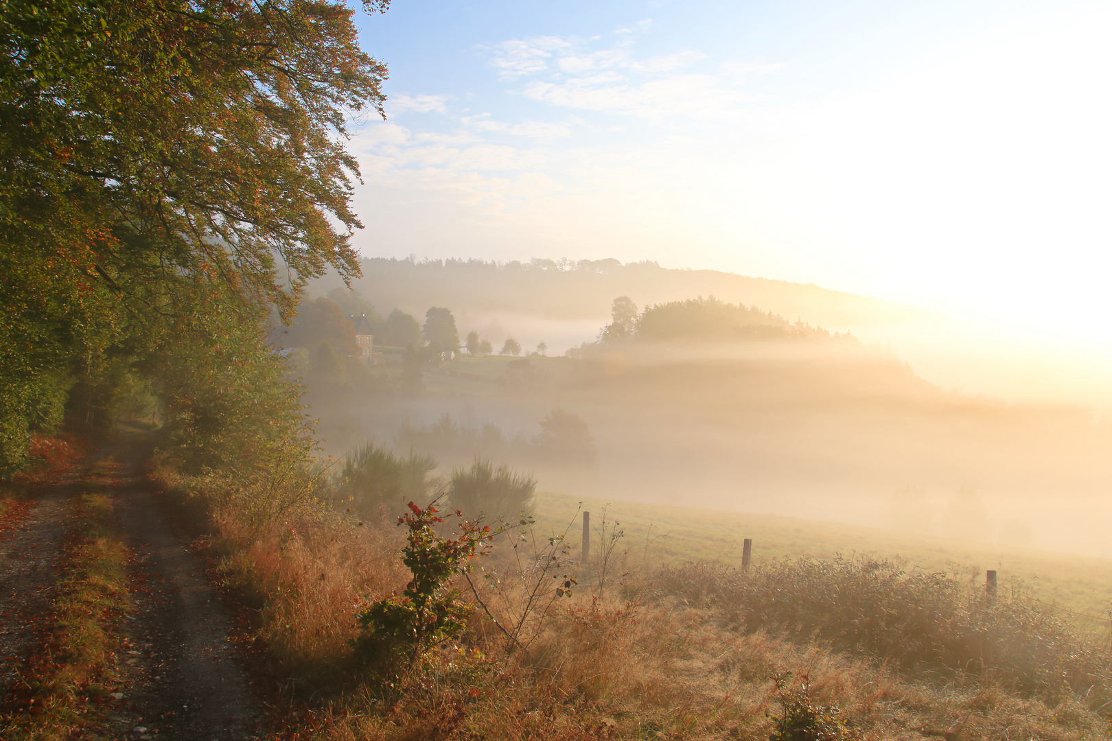 Herbstmorgen