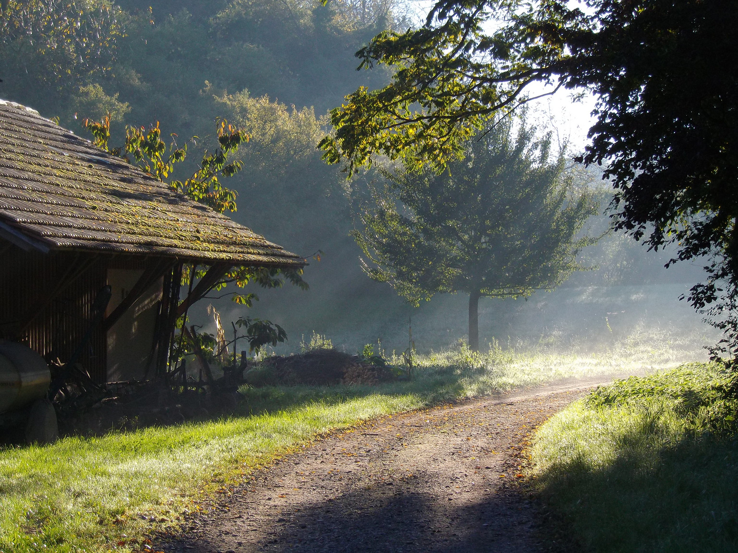 Herbstmorgen