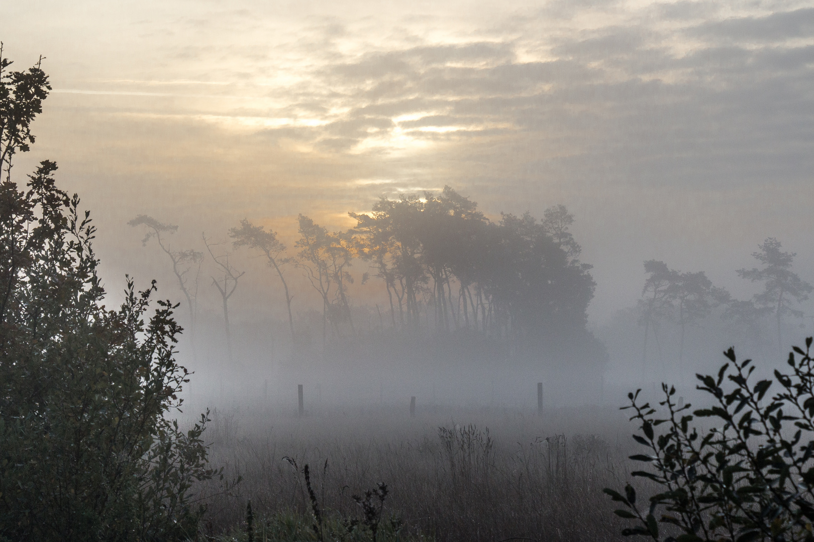 Herbstmorgen