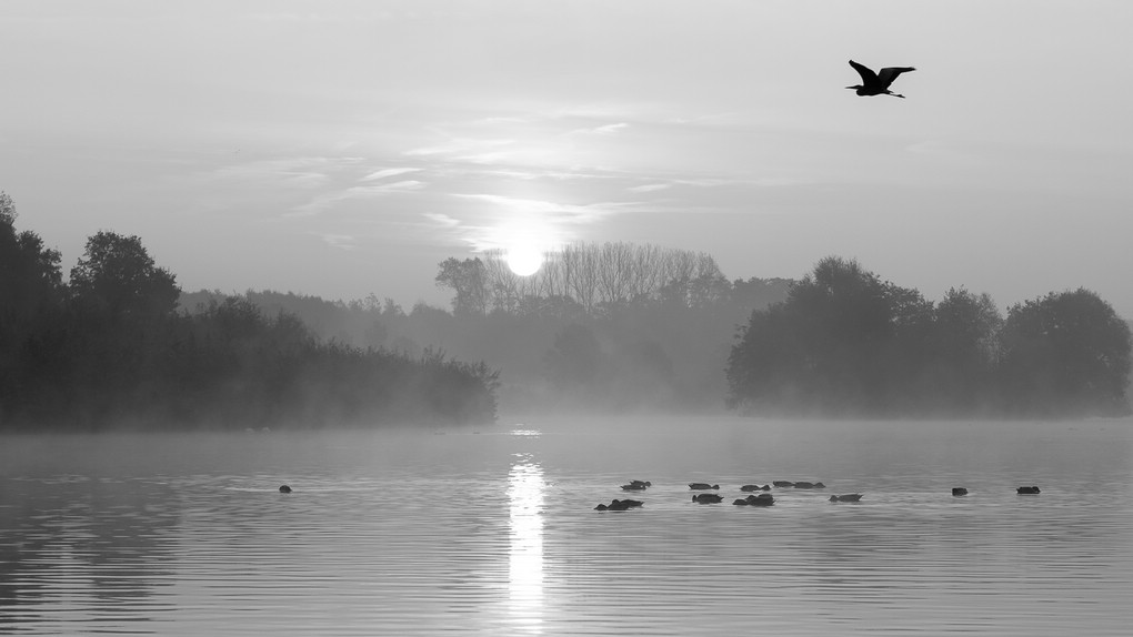 Herbstmorgen I