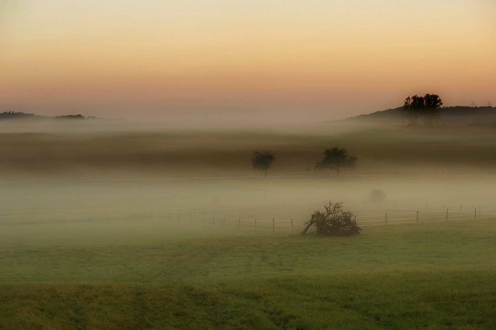 Herbstmorgen I