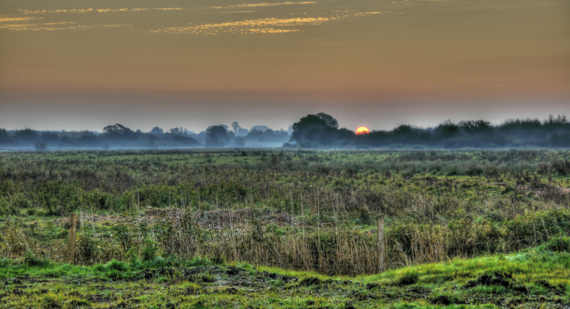 Herbstmorgen I