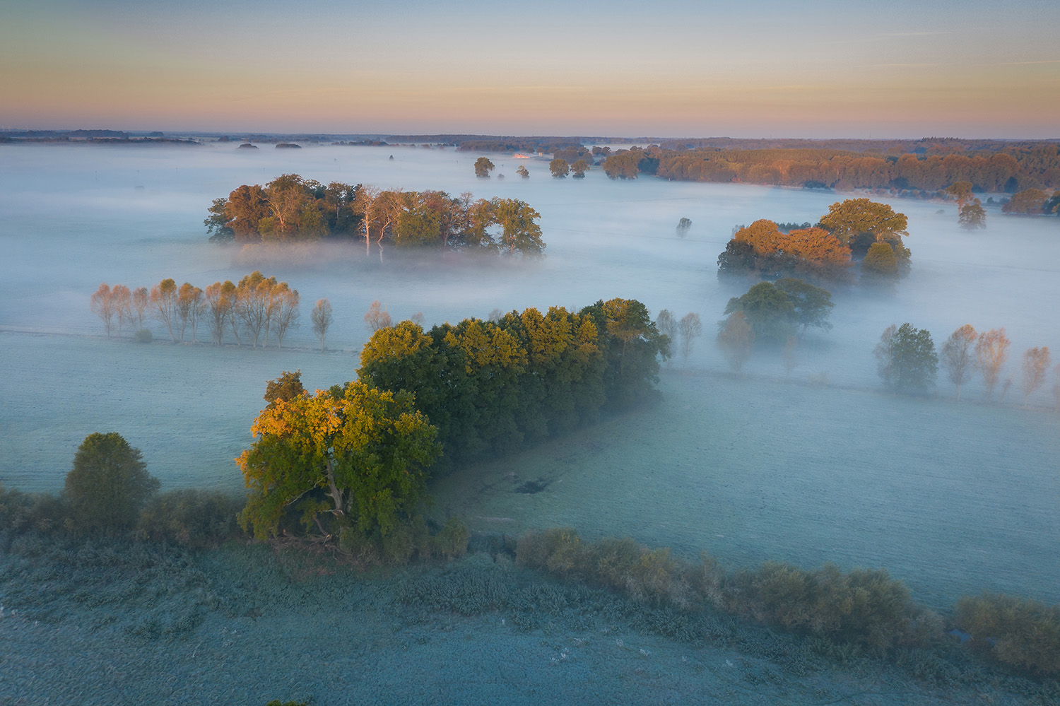 Herbstmorgen II