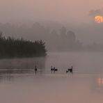 Herbstmorgen II