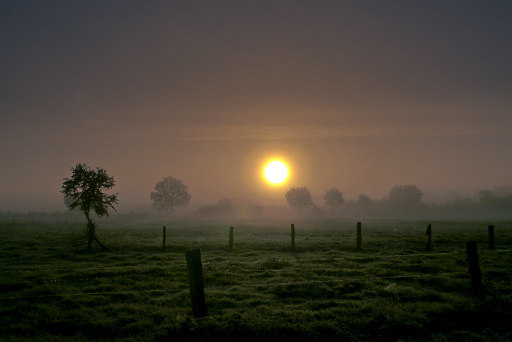 Herbstmorgen III