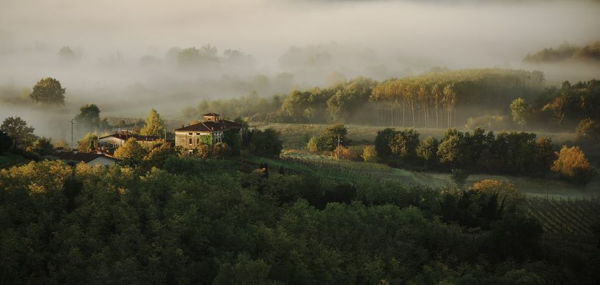 Herbstmorgen im Collio