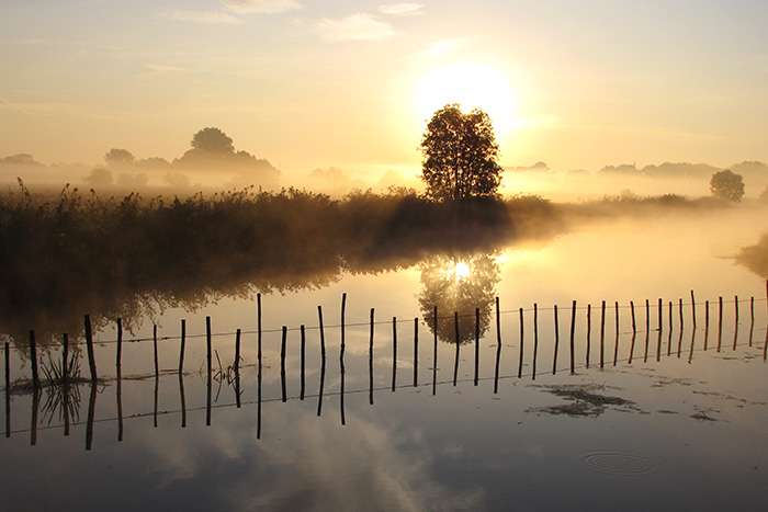 Herbstmorgen im Dannenberger Werder