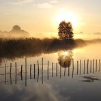 Herbstmorgen im Dannenberger Werder