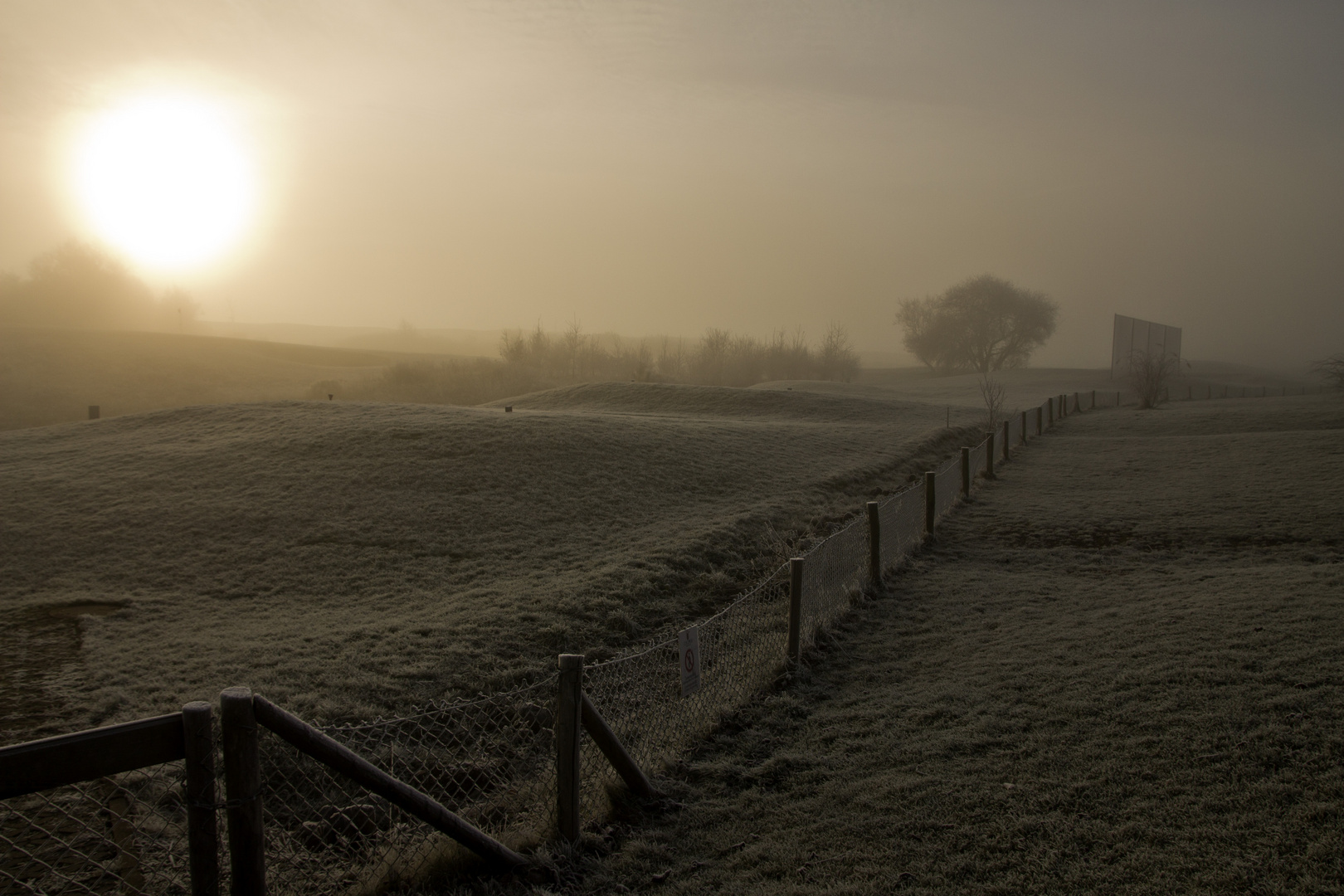 Herbstmorgen im Gegenlicht