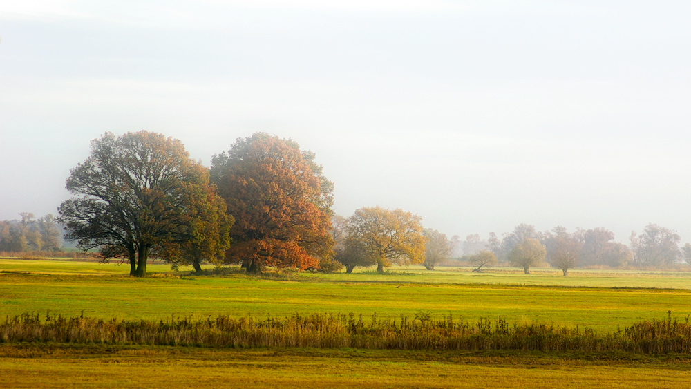 Herbstmorgen im Havelland