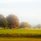 Herbstmorgen im Havelland