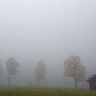 Herbstmorgen im Karwendel