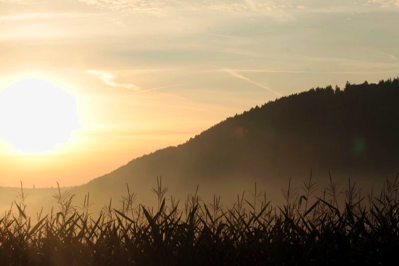 Herbstmorgen im Kellerwald