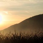 Herbstmorgen im Kellerwald