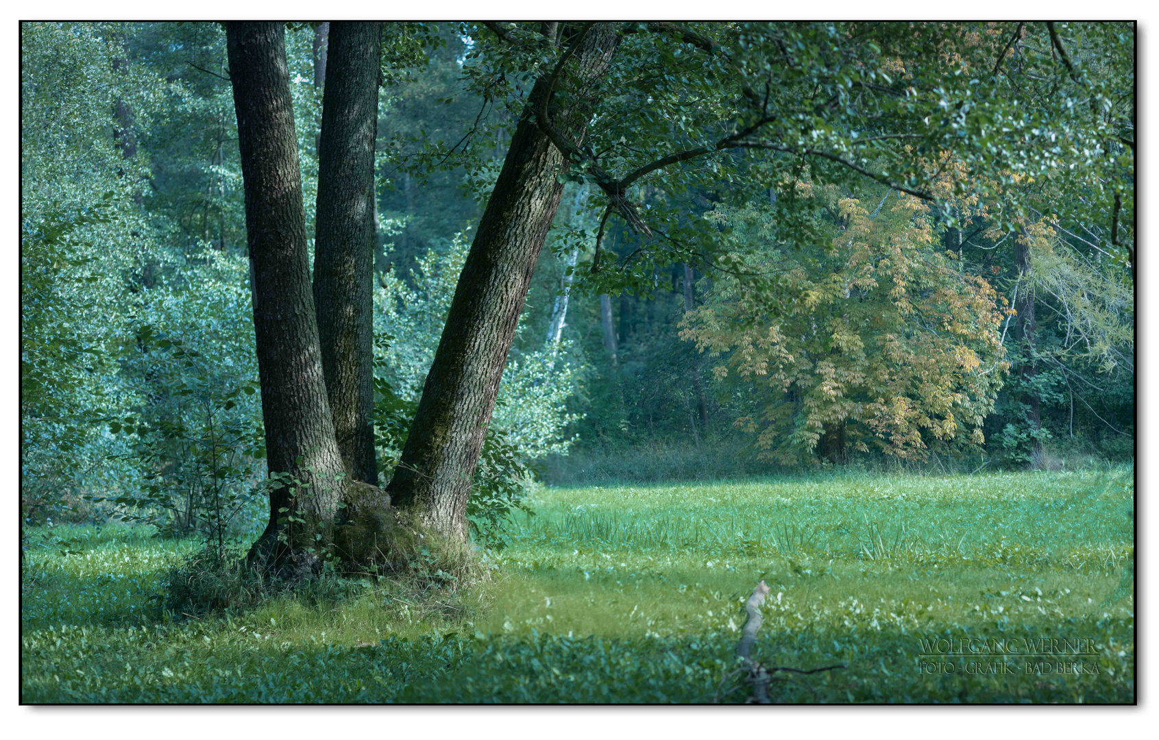 Herbstmorgen im Kurpark