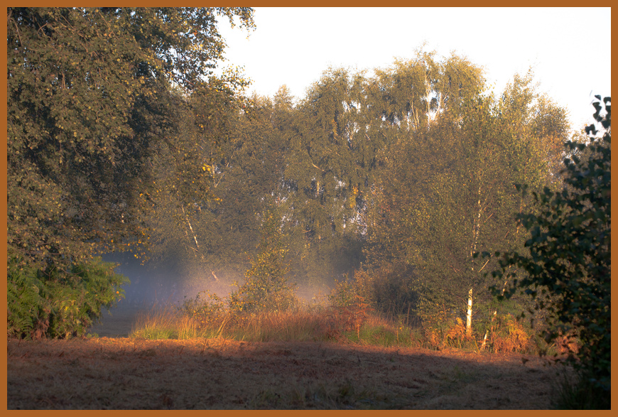 Herbstmorgen im Moor