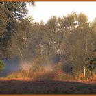 Herbstmorgen im Moor