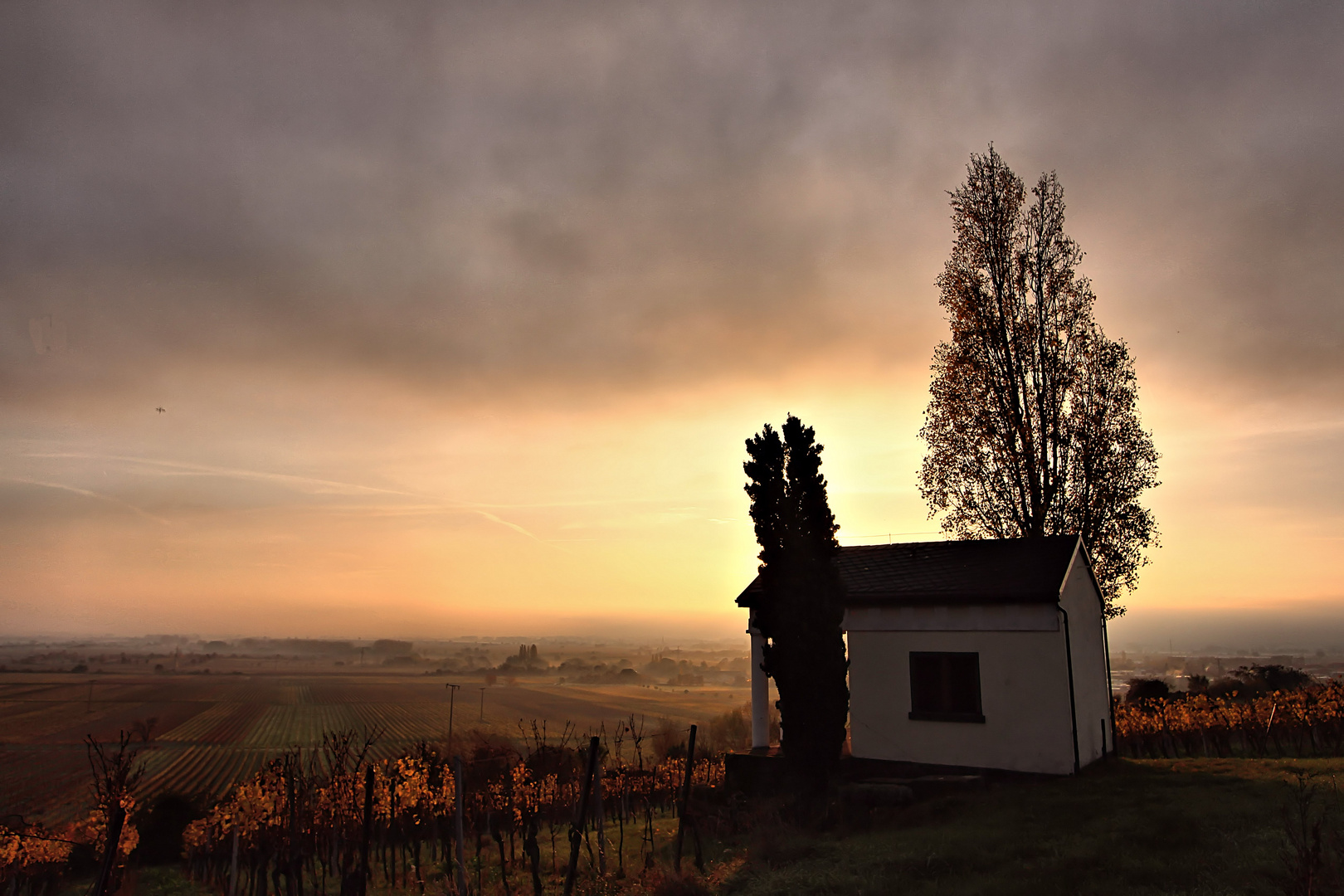 Herbstmorgen im Nebel