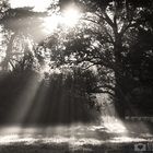 Herbstmorgen im Park