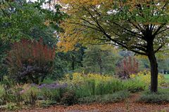 Herbstmorgen im Park