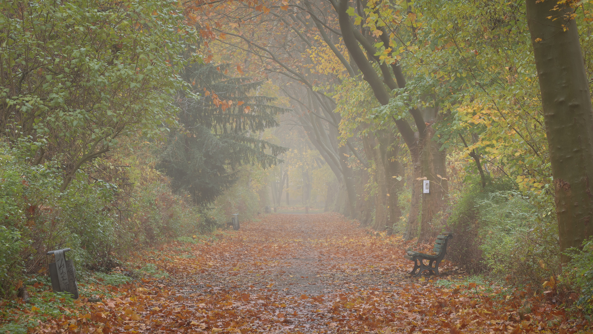 Herbstmorgen im Park