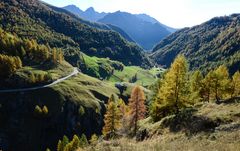 Herbstmorgen im Passeiertal - Nr.9