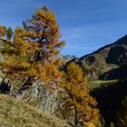 Herbstmorgen im Passeiertal/Timmelsjoch - Nr.8