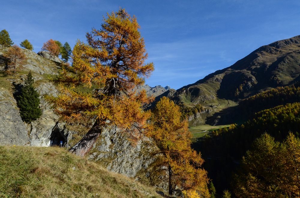 Herbstmorgen im Passeiertal/Timmelsjoch - Nr.8