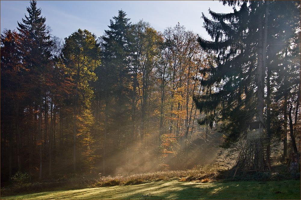 Herbstmorgen im Schurwald