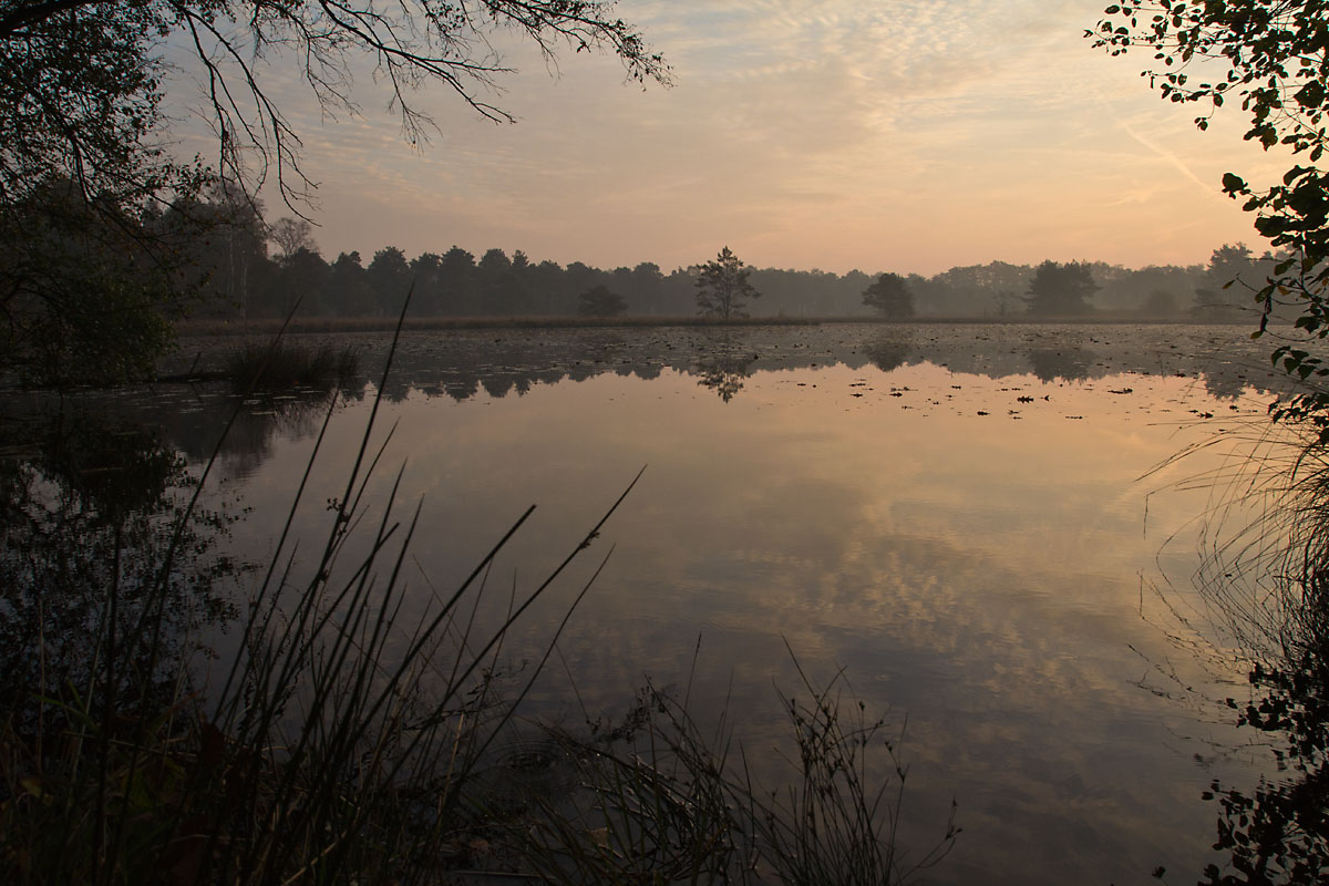 Herbstmorgen im Schwattet Gatt