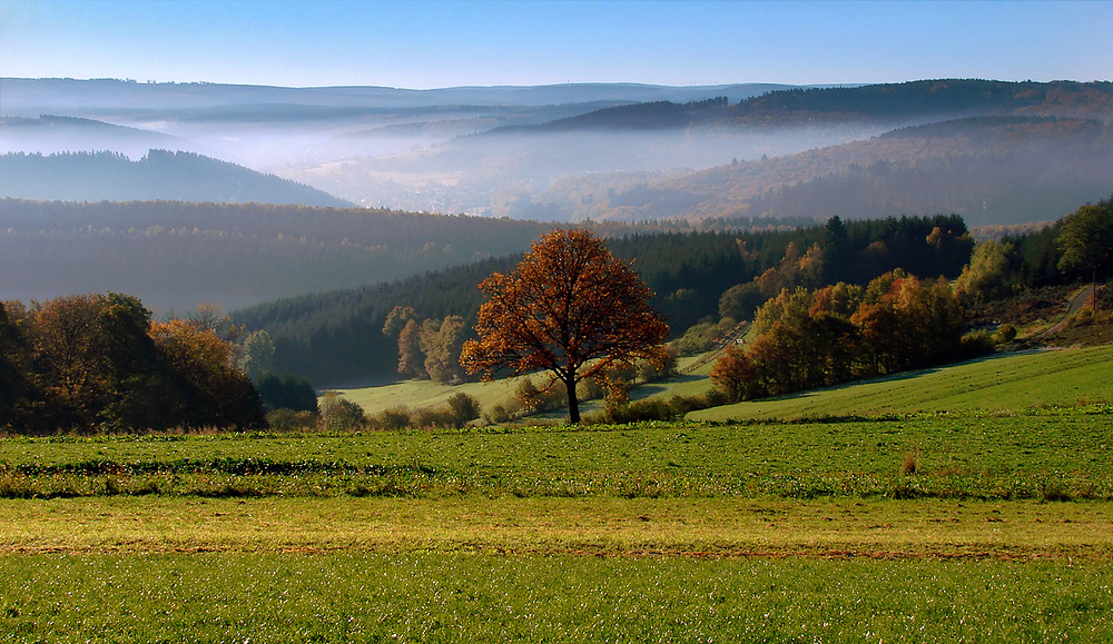 Herbstmorgen im Siegerland