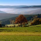 Herbstmorgen im Siegerland