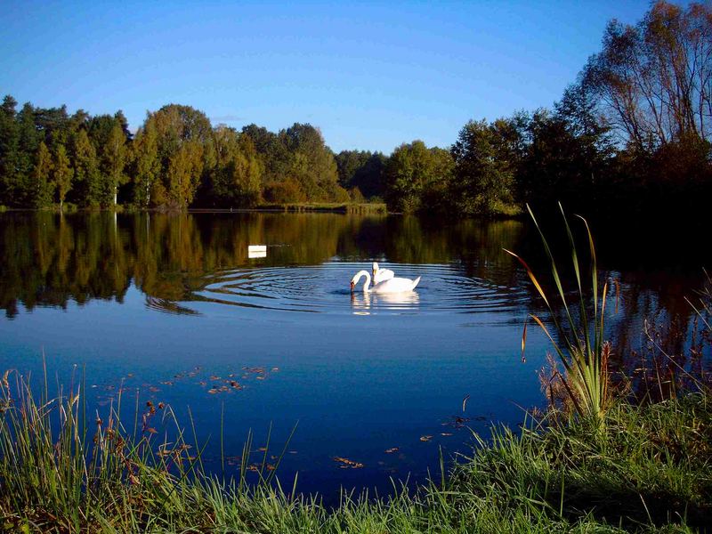 Herbstmorgen im Spreewald