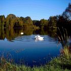 Herbstmorgen im Spreewald