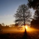 Herbstmorgen im Spreewald