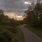 Herbstmorgen im Südwäldchen