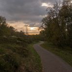 Herbstmorgen im Südwäldchen