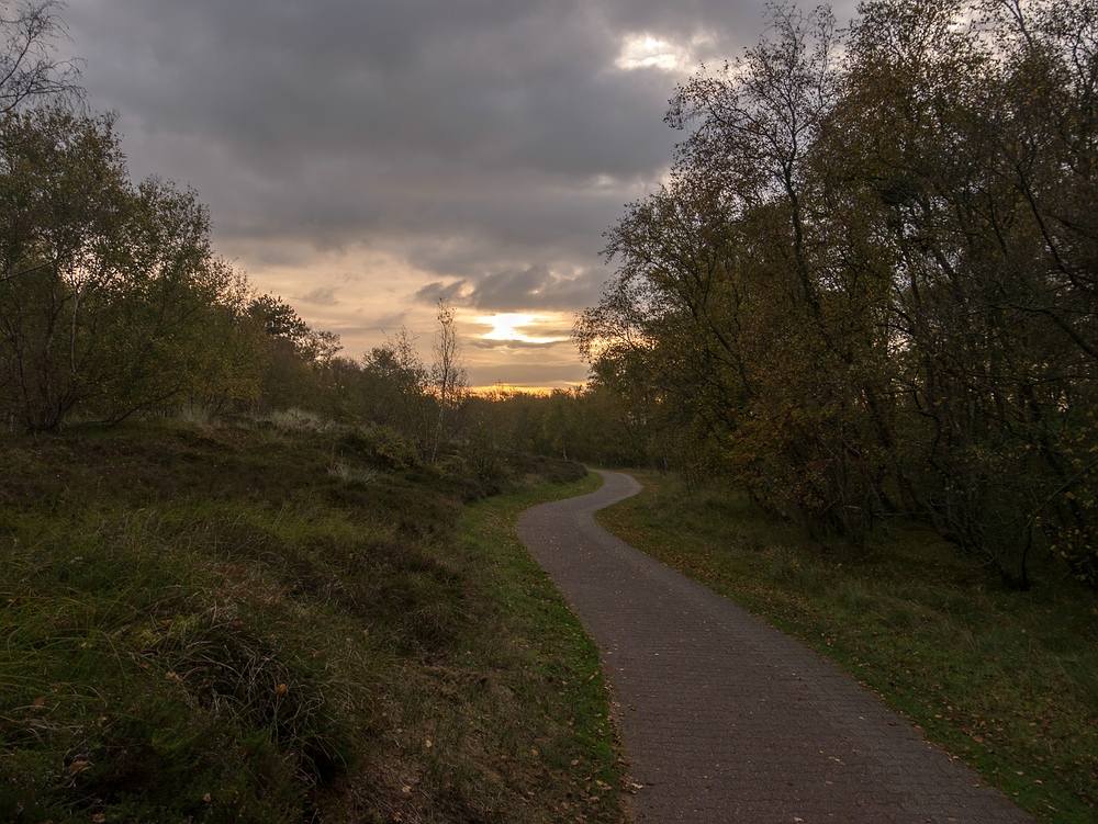 Herbstmorgen im Südwäldchen