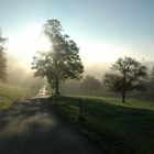 Herbstmorgen im Tösstal