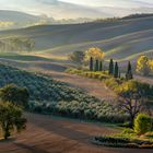 *Herbstmorgen im Val d'Orcia*