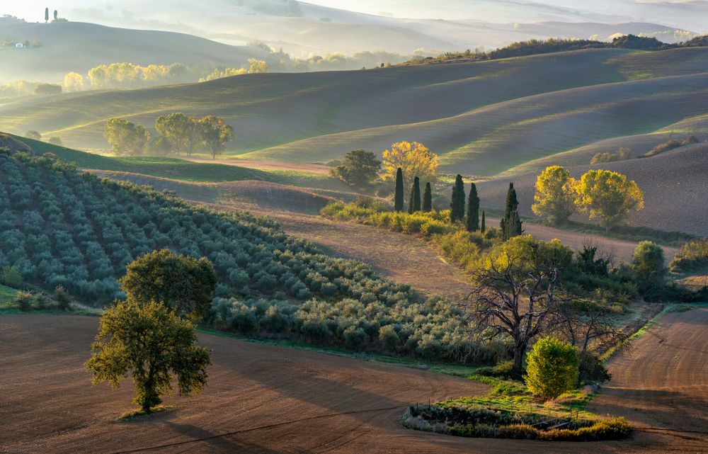 *Herbstmorgen im Val d'Orcia*