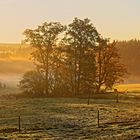 Herbstmorgen im Welzheimer Wald