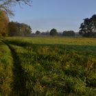 Herbstmorgen im Wiesengrund 2