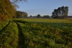 Herbstmorgen im Wiesengrund 2