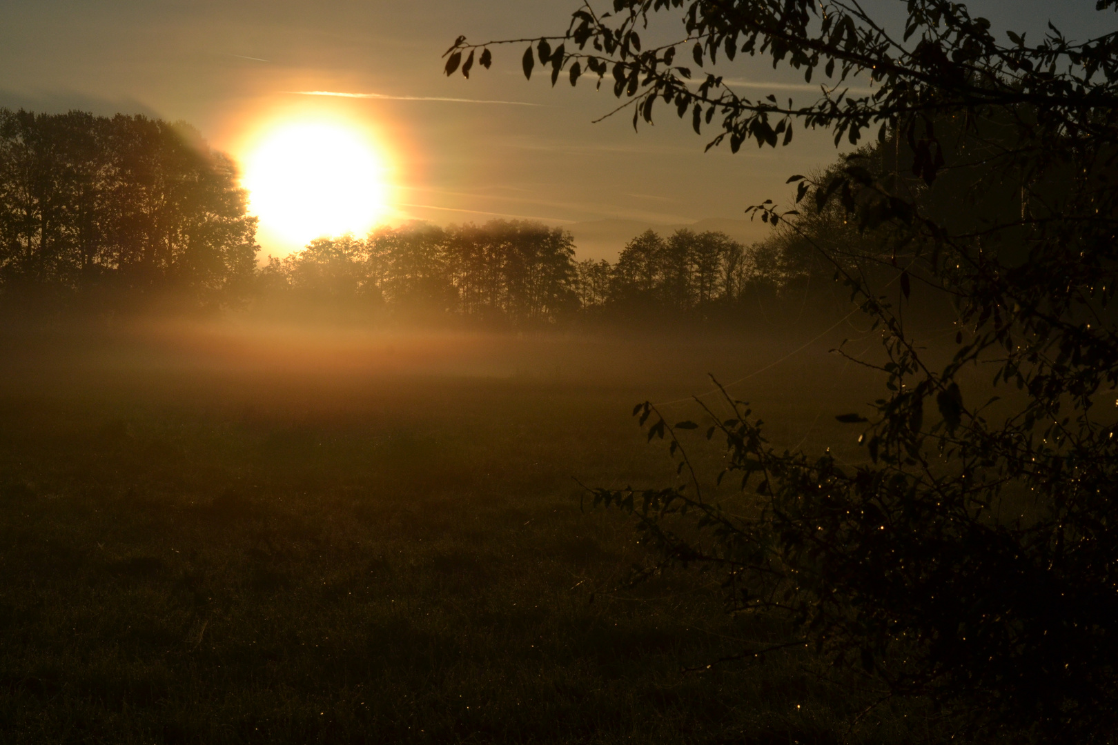 Herbstmorgen im Wiesengrund